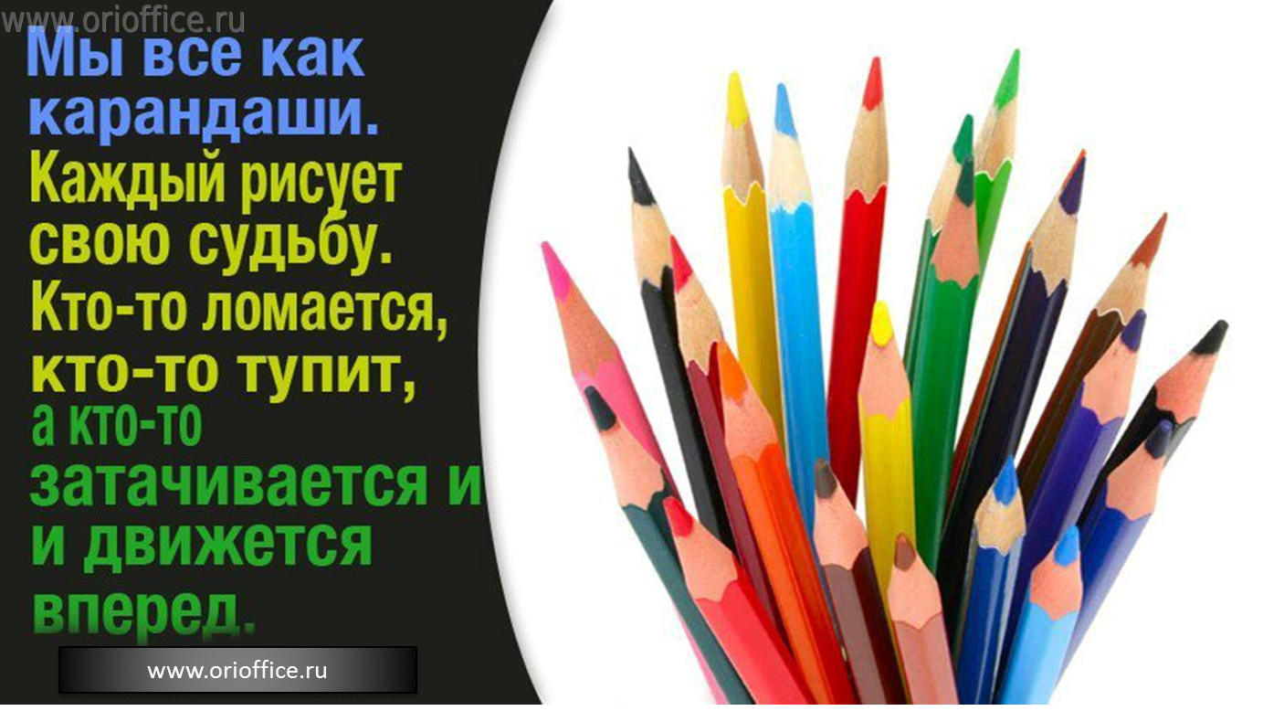 Афоризм про карандаши Афоризм про карандаши